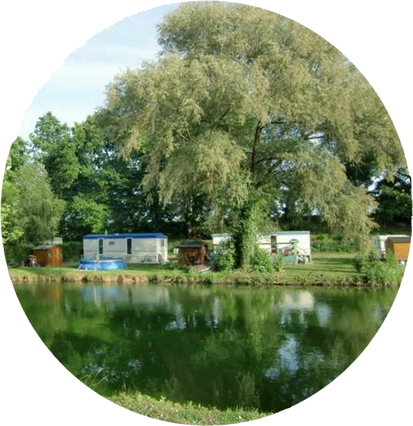 Colvert - Etang de pêche